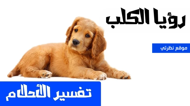 لماذا يمكن أن يحلم الإنسان بالأليف؟