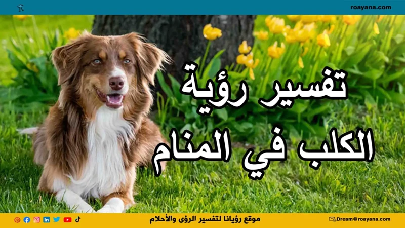 أنواع الكلاب وتفسير أحلامها