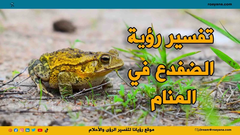 تفسير حلم الثعابين في الثقافات العالمية