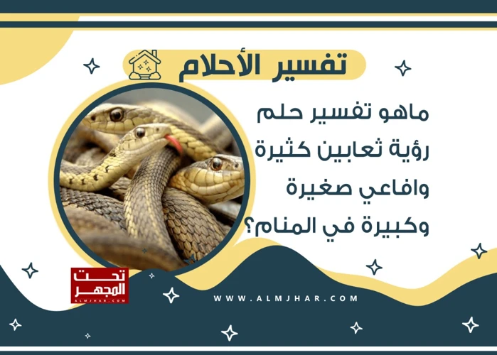 تفسير رؤية الثعابين السامة في الحلم