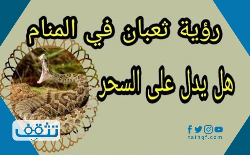 تفسير رؤية ثعبان يهاجمك في الحلم