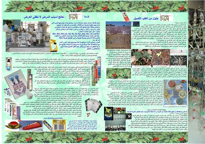 تفسير حلم الحمل الرومانسي بناءً على التفاصيل