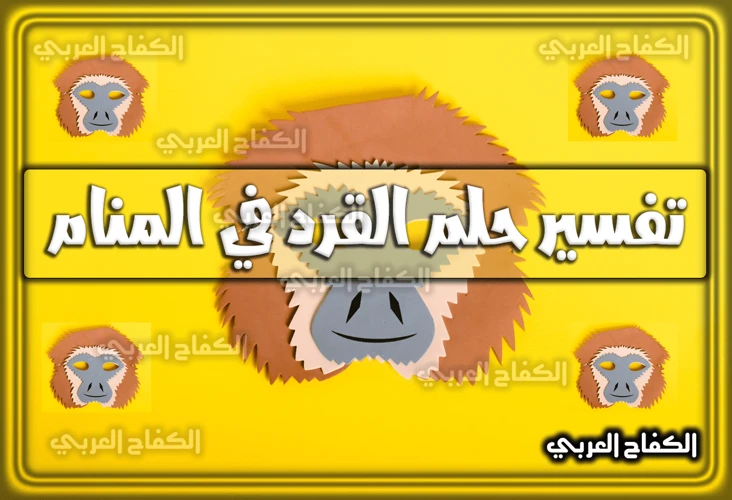 ماذا يحدث إذا كنت ترى الأسد وأنت مصاب بالرهاب من الحيوانات