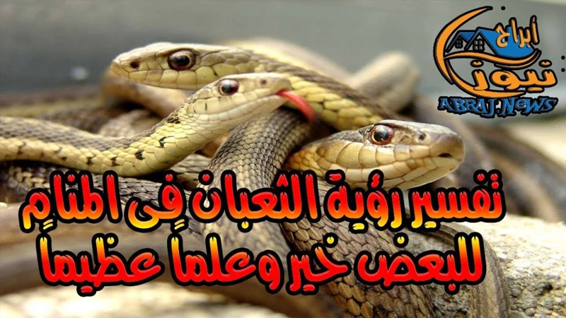 تفسير رؤية الثعبان الأخضر في المنام