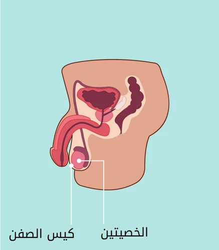 تفسير رؤية الزواج المشوه في الحلم