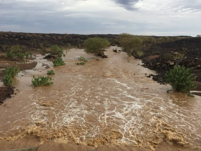 تفسير السيل في المنام