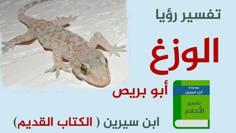 كيفية التعامل مع تفسير حلم الوزغ للعزباء