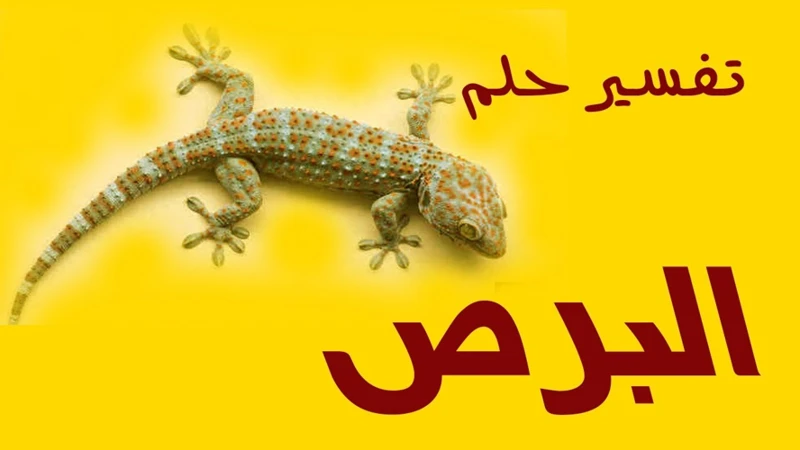 أسباب ظهور الوزغ في الأحلام