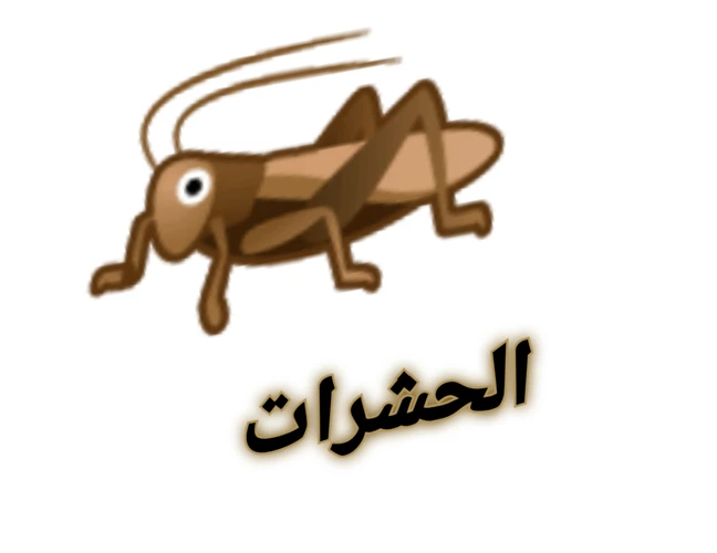 تفسير ضفيرة البحر