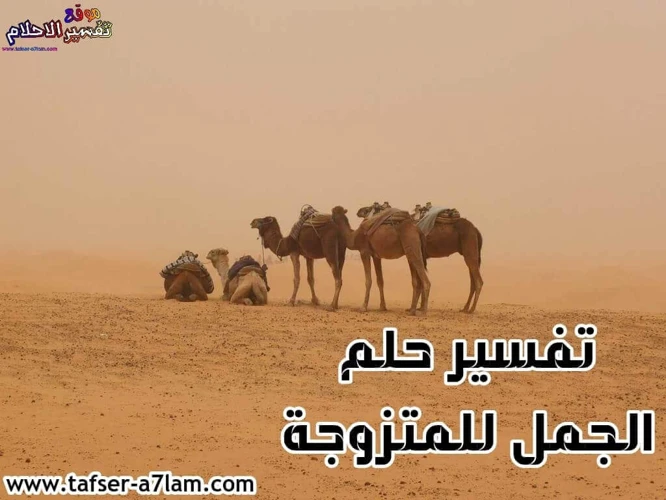 تفسير رؤية الأبل