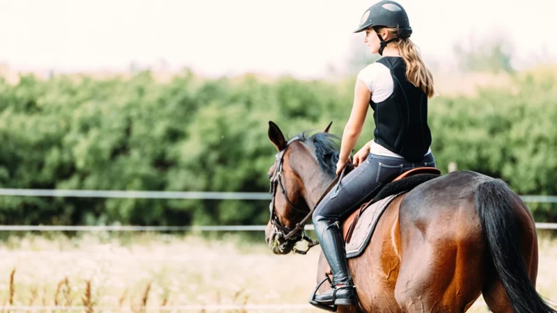 تفسير رؤية الخيل المجنحة في المنام