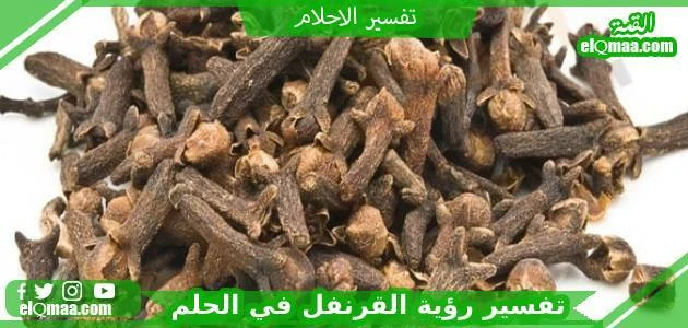 تفسير رؤية زهرة الفاوانيا والقرنفل في الحلم